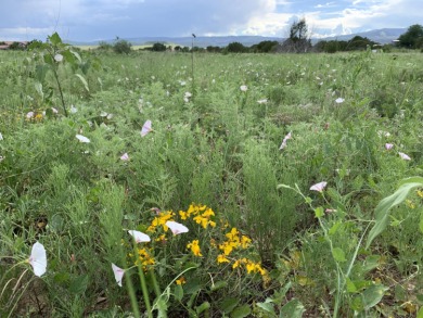 Lake Acreage For Sale in Las Vegas, New Mexico
