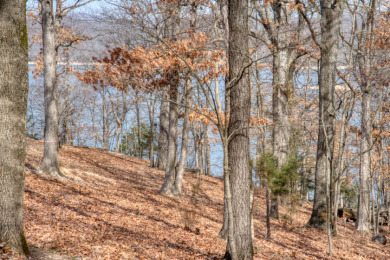 3+ Acres With A Breath-Taking View of Beaver Lake! - photo 23