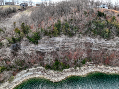 3+ Acres With A Breath-Taking View of Beaver Lake! - photo 10
