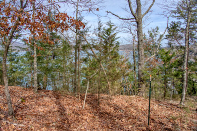 3+ Acres With A Breath-Taking View of Beaver Lake! - photo 17