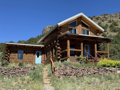  Home For Sale in Del Norte Colorado