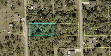 Lehigh Acres Area Lot For Sale in Lehigh Acres Florida