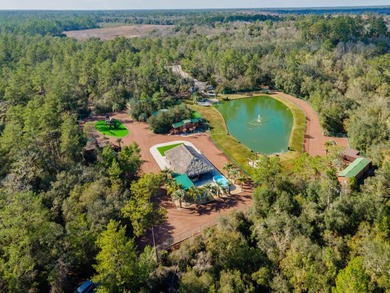 (private lake, pond, coastal) Home For Sale in Silver Springs Florida