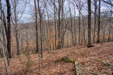 3+ Acres With A Breath-Taking View of Beaver Lake! - photo 13