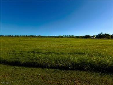 (private lake, pond, creek) Lot For Sale in Alva Florida