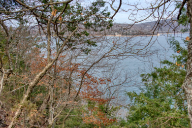 3+ Acres With A Breath-Taking View of Beaver Lake! - photo 16