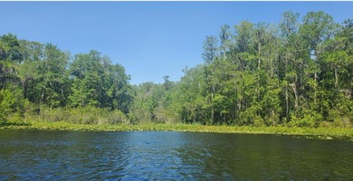 (private lake, pond, creek) Acreage For Sale in Dunnellon Florida