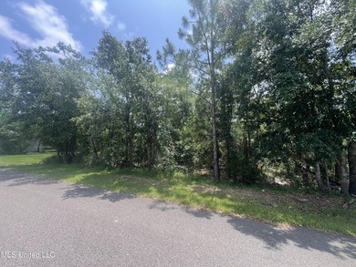 Waterfront Lot in AE 17 Flood zone which is one of the flood - photo 2