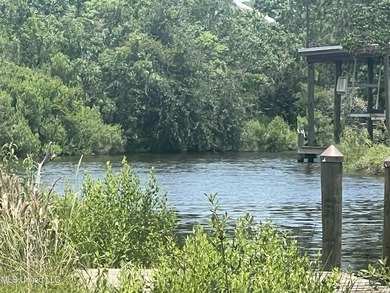 Waterfront Lot in AE 17 Flood zone which is one of the flood - photo 4