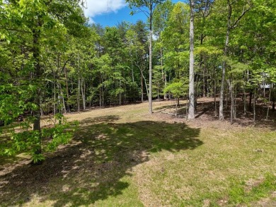 Lake Lot For Sale in Blairsville, Georgia