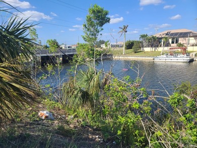This property has a lot size of 10628 sqft. 0.24 Acres Wide - photo 11