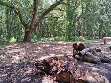 Beautiful, wooded lot in a highly desired area of Charleston - photo 1