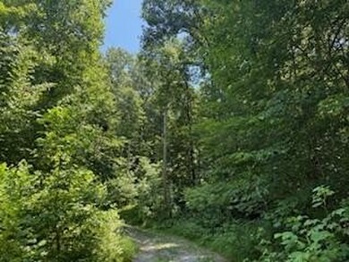 Lake Cumberland Lot For Sale in Nancy Kentucky