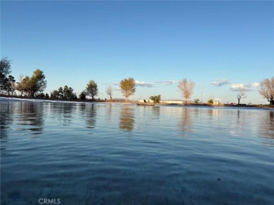 Lake Home For Sale in Newberry Springs, California