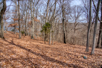 3+ Acres With A Breath-Taking View of Beaver Lake! - photo 22