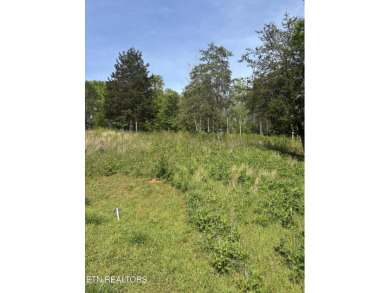 Lake Lot For Sale in Harriman, Tennessee