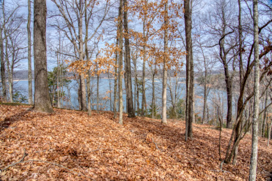 3+ Acres With A Breath-Taking View of Beaver Lake! - photo 21