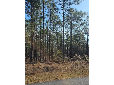 Bonable Lake Lot For Sale in Dunnellon Florida