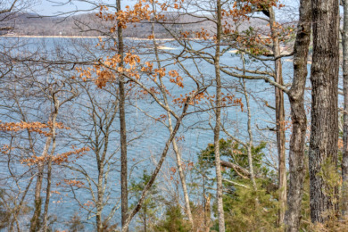 3+ Acres With A Breath-Taking View of Beaver Lake! - photo 20