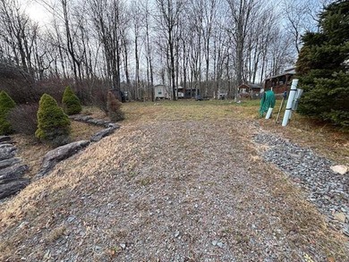 Eagle Lake Lot For Sale in Gouldsboro Pennsylvania