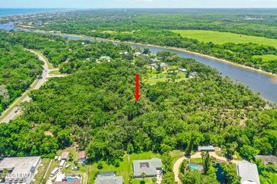 RARE INTRACOASTAL OFFERING - 4.4 ACRES ON FLORIDA'S SCENIC A1A - photo 4