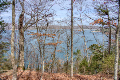 3+ Acres With A Breath-Taking View of Beaver Lake! - photo 4