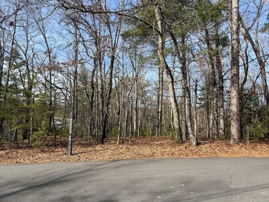 Lake Lot Sale Pending in Ellijay, Georgia