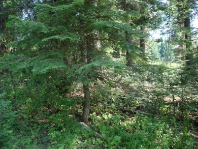 Lake Lot For Sale in Mccall, Idaho