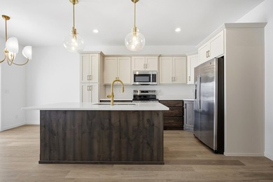 Welcome home to this completed and ready to move Summit floor - photo 9