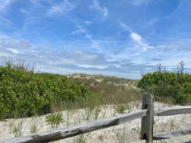 THE SOUTH-END IS CALLED THE *GOLD COAST OF AVALON*. Wide - photo 23