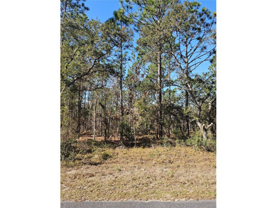 Bonable Lake Lot For Sale in Dunnellon Florida