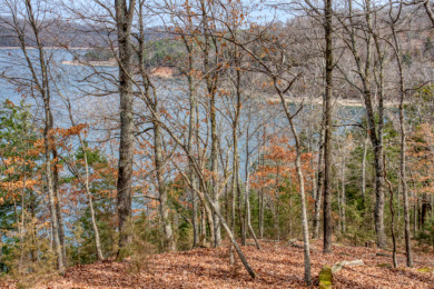 3+ Acres With A Breath-Taking View of Beaver Lake! - photo 7