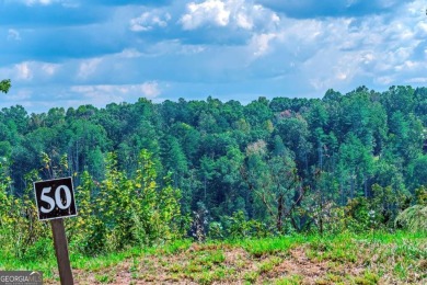 Lake Lot For Sale in Ellijay, Georgia