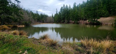 (private lake, pond, coastal) Home Sale Pending in Trail Oregon