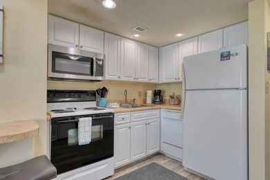 This fully furnished and freshly updated direct oeanfront - photo 9