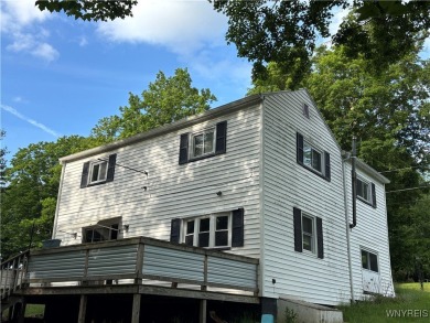 Lake Home For Sale in Castile, New York