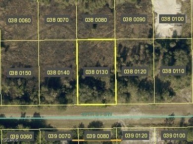 Lehigh Acres Area Lot For Sale in Lehigh Acres Florida