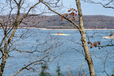 3+ Acres With A Breath-Taking View of Beaver Lake! - photo 2