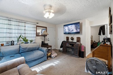 Attention investors! This well-maintained two-family property is - photo 20