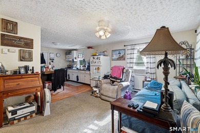 Attention investors! This well-maintained two-family property is - photo 21