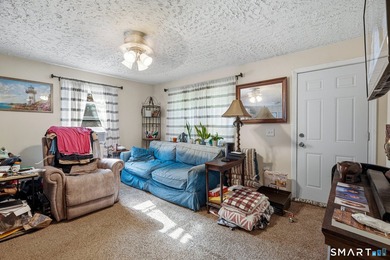 Attention investors! This well-maintained two-family property is - photo 22
