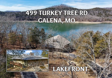Lakefront, lake view, and boat slip available - Lake Home For Sale in Galena, Missouri