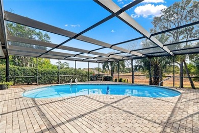 Move-in ready pool home featuring 3 bedrooms and 2 baths with a - photo 31