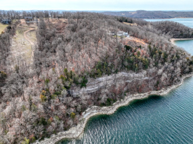 3+ Acres With A Breath-Taking View of Beaver Lake! - photo 6
