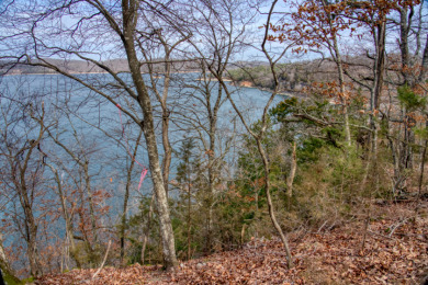 3+ Acres With A Breath-Taking View of Beaver Lake! - photo 19