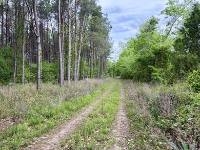 Land for sale near Centerville, Arkansas offering privacy - photo 1