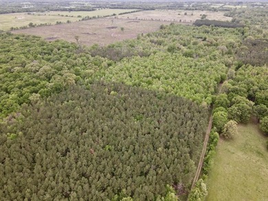 Land for sale near Centerville, Arkansas offering privacy - photo 2
