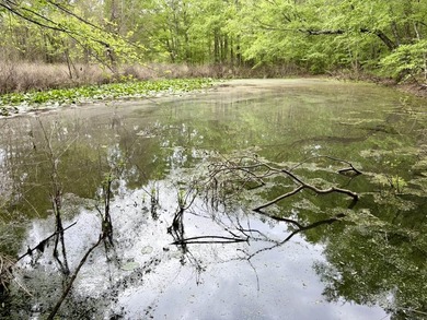 Land for sale near Centerville, Arkansas offering privacy - photo 6