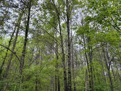 Land for sale near Centerville, Arkansas offering privacy - photo 9