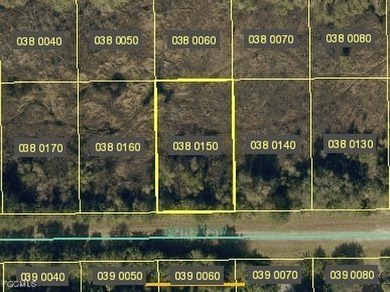 Lehigh Acres Area Lot For Sale in Lehigh Acres Florida